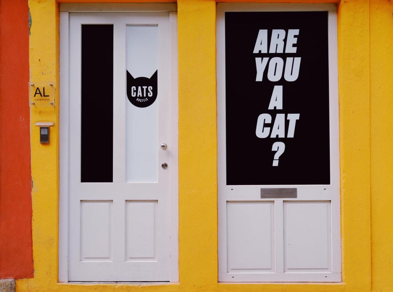 Cats Porto Hostel Екстер'єр фото